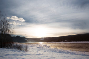 misty snow scene