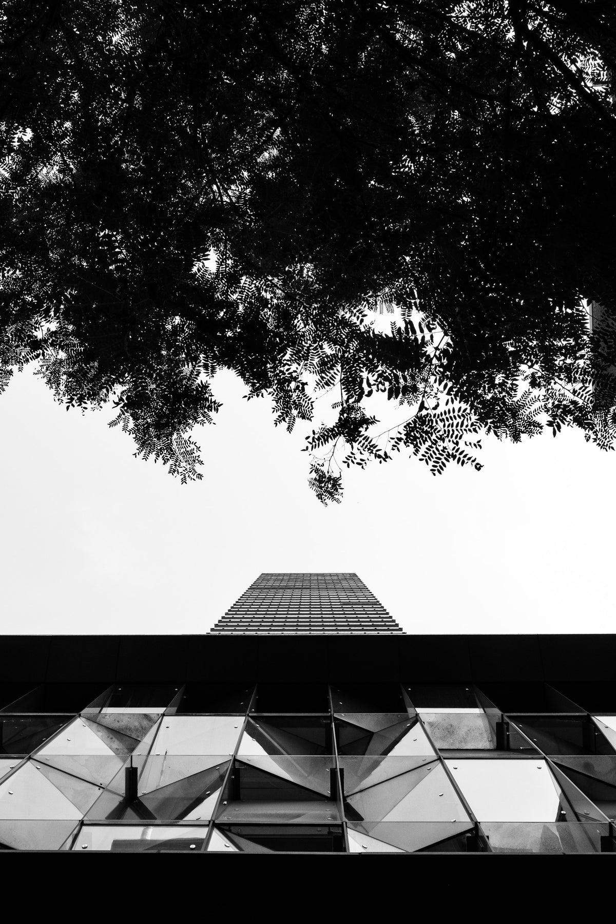 modern building with tree