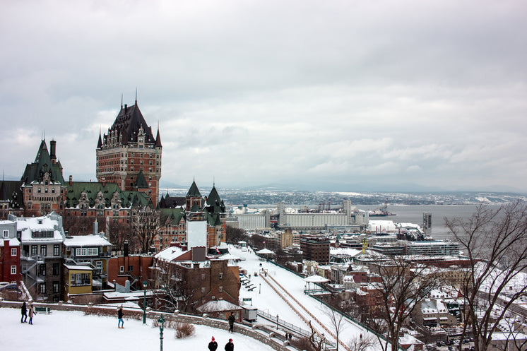 camisetas nba city edition