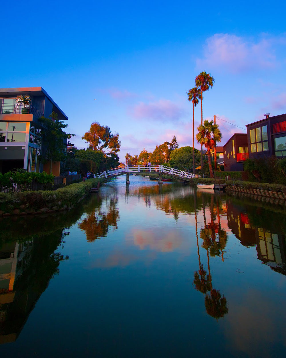 modern houses on a vibrant river