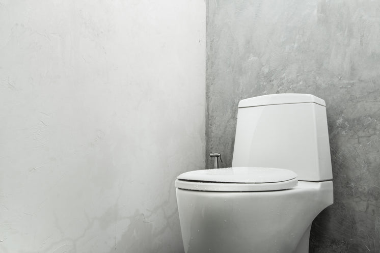 modern-toilet-in-minimalist-bathroom.jpg