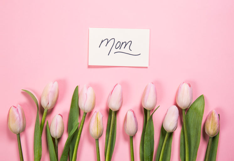 mom-card-and-pink-flowers.jpg?width=746&format=pjpg&exif=0&iptc=0