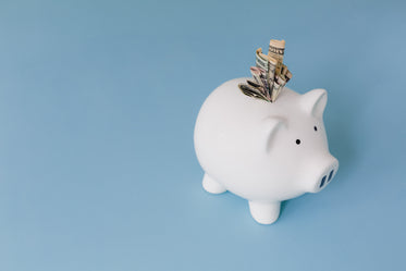High Res Money Saving Bank Picture — Free Images