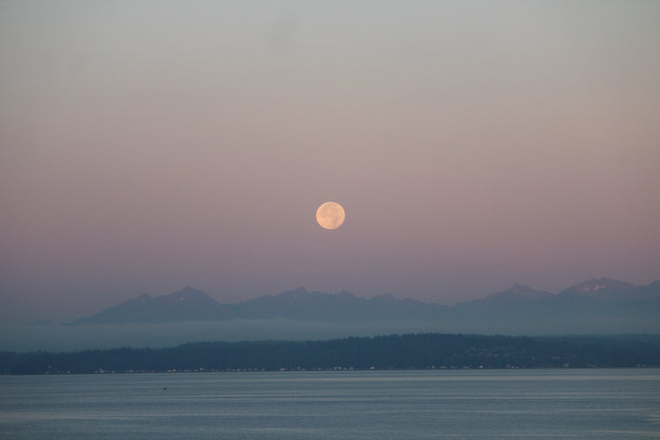 https://burst.shopifycdn.com/photos/moonrise-over-lake-and-mountains.jpg?width=746&format=pjpg&exif=0&iptc=0