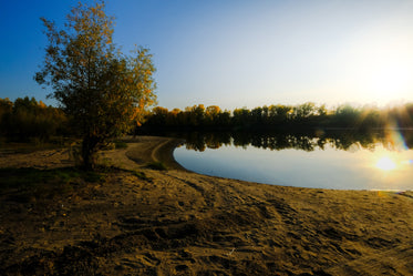 morningtime pond