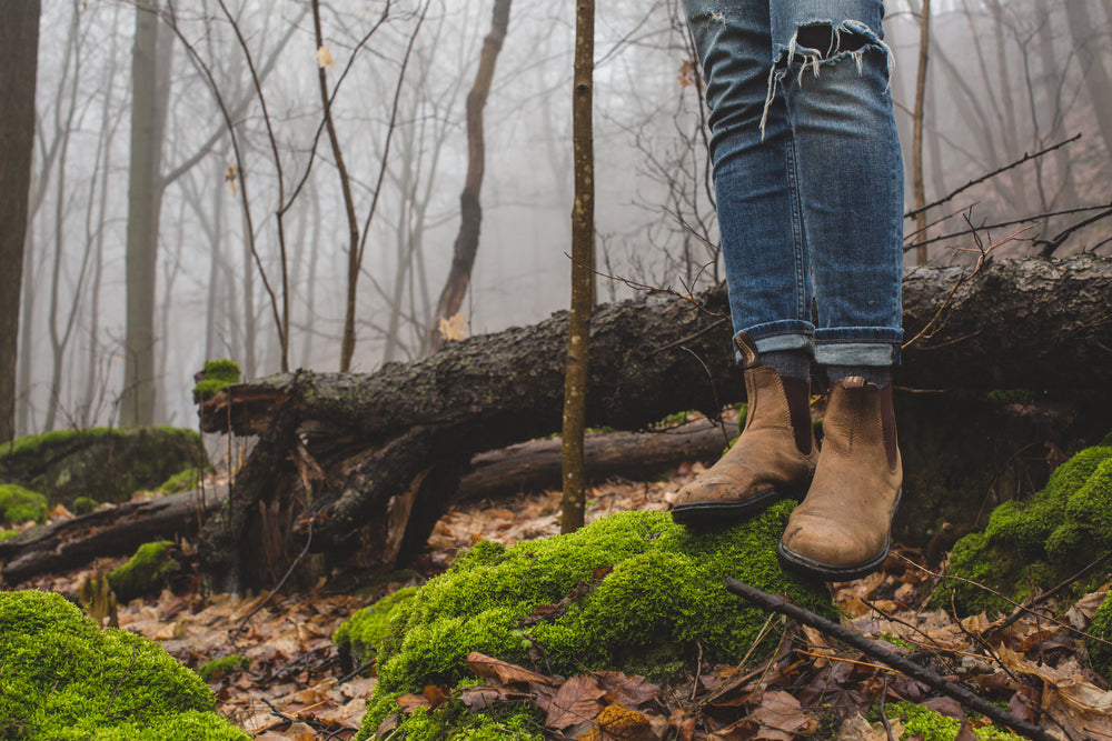 mossy forest hike