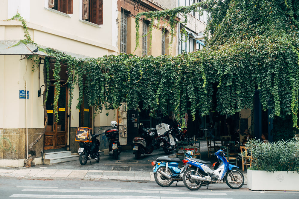 motorbikes parked under green vines