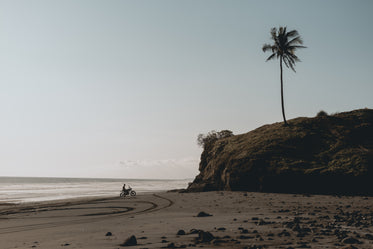 motorcycle and tracks in beach sands