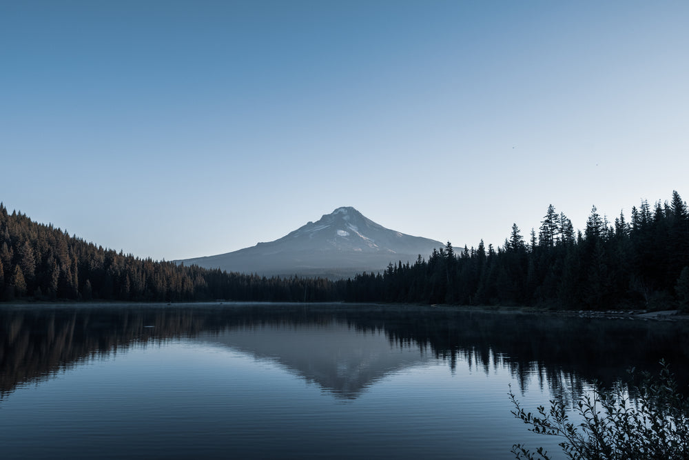 mount hood peaks through forest