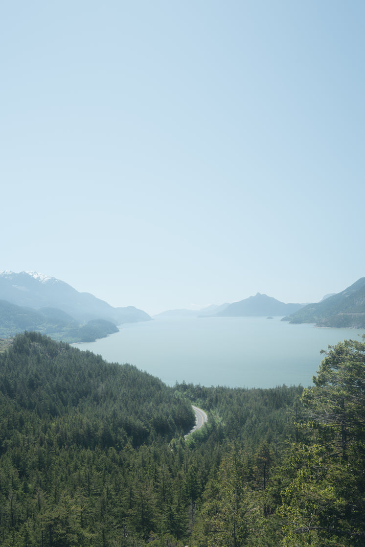 山區(qū)公路