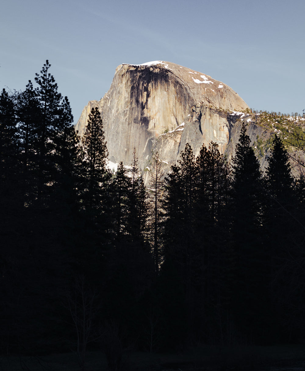 mountain peak through trees