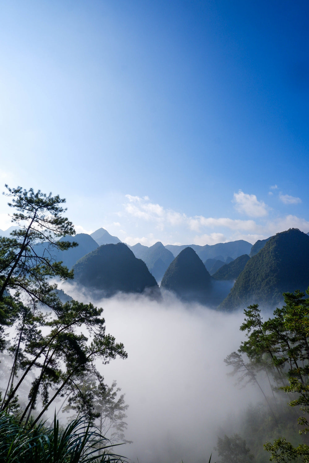 mountain range peeks through the top of the clouds