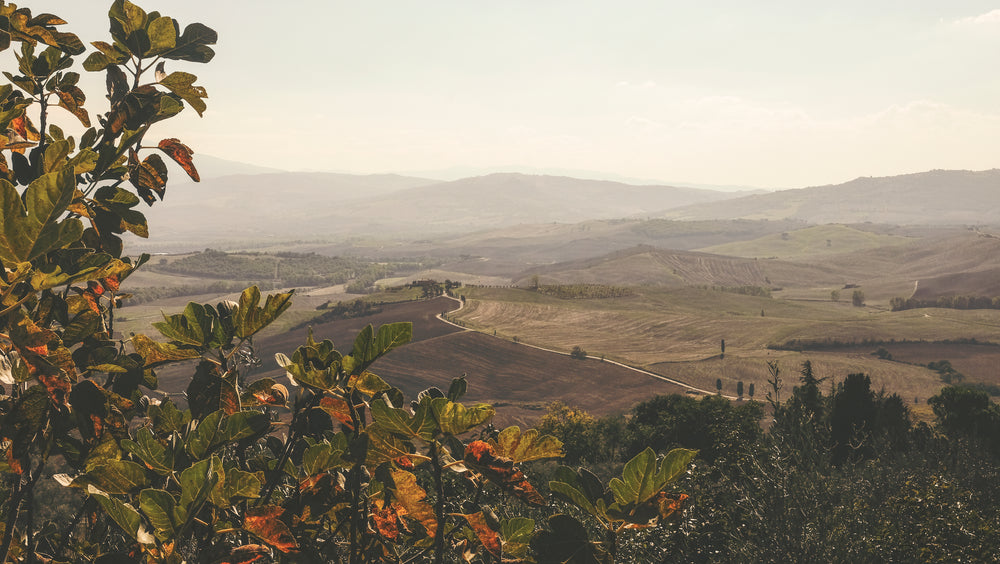 mountain top view in italy