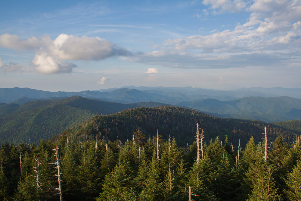 mountains as far as the eye can see