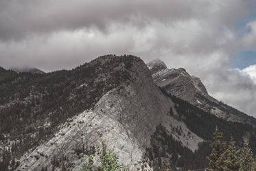 mountains forest and clouds