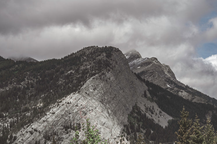 Mountains Forest And Clouds