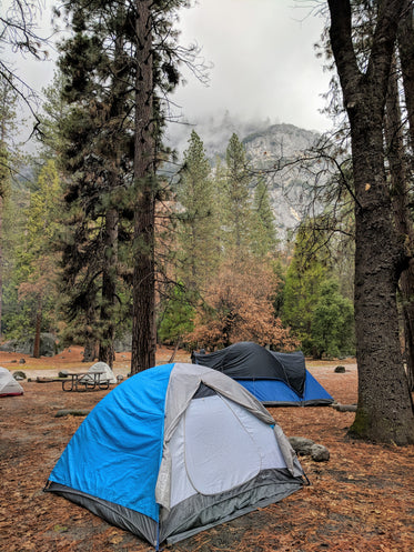 mountainside forest camp ground