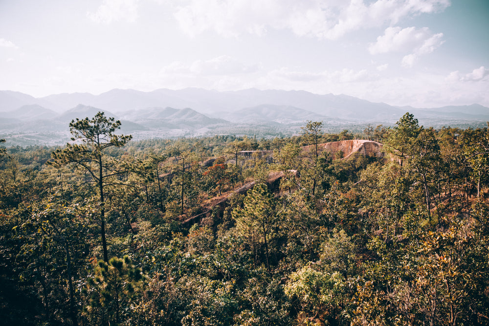 mountainside valley