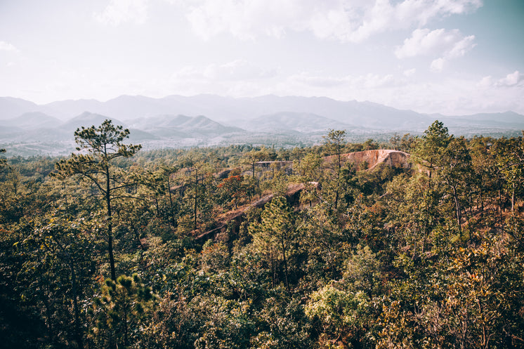 mountainside-valley.jpg?width=746&format