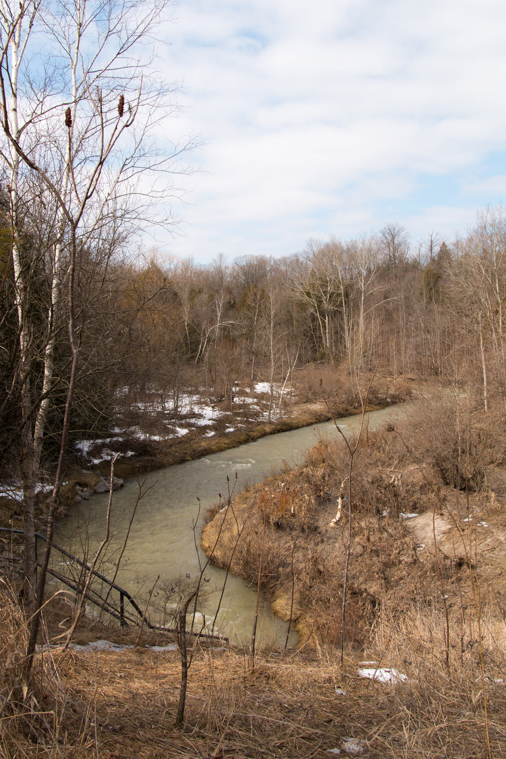 murky river in winter forest