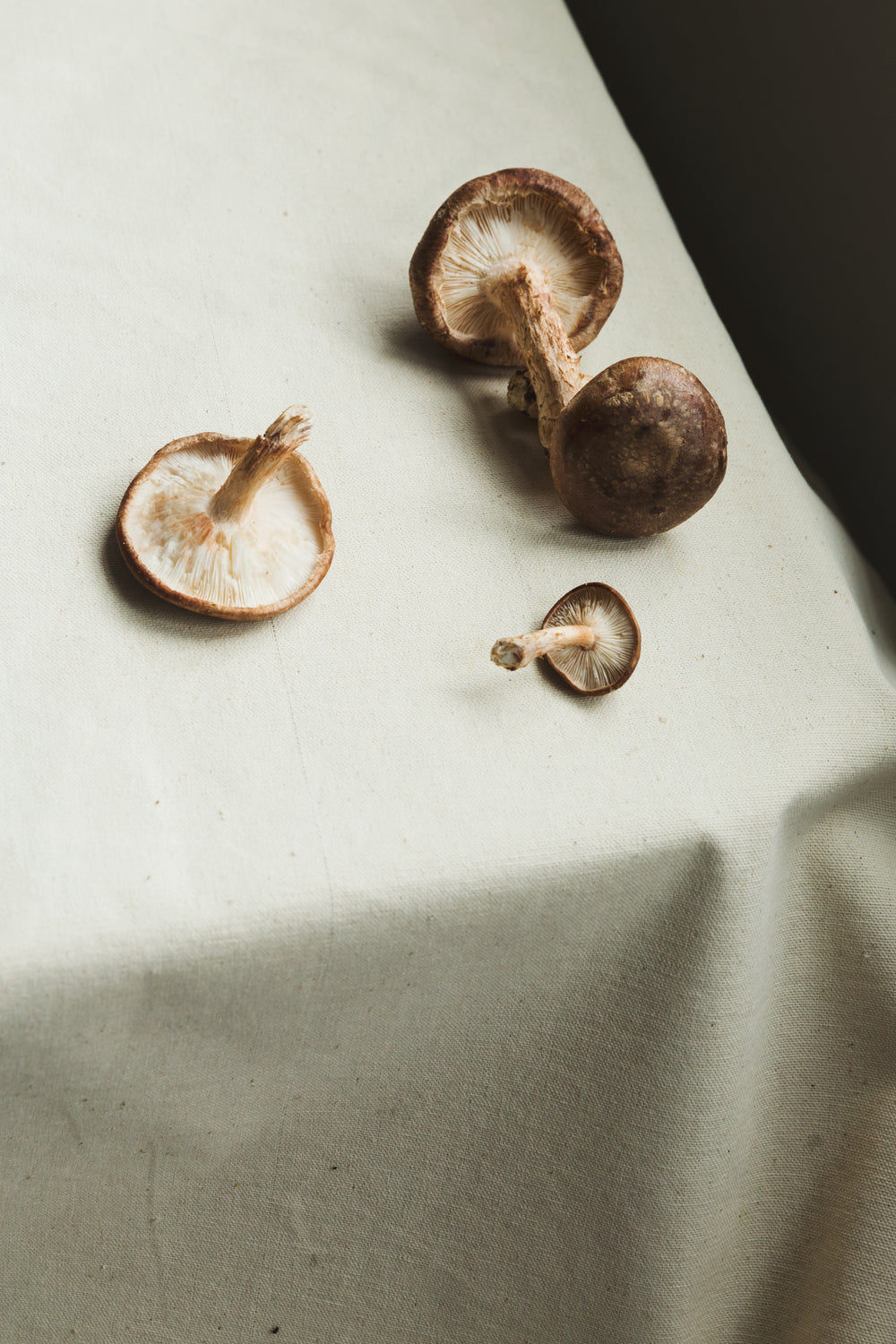 mushrooms on a table