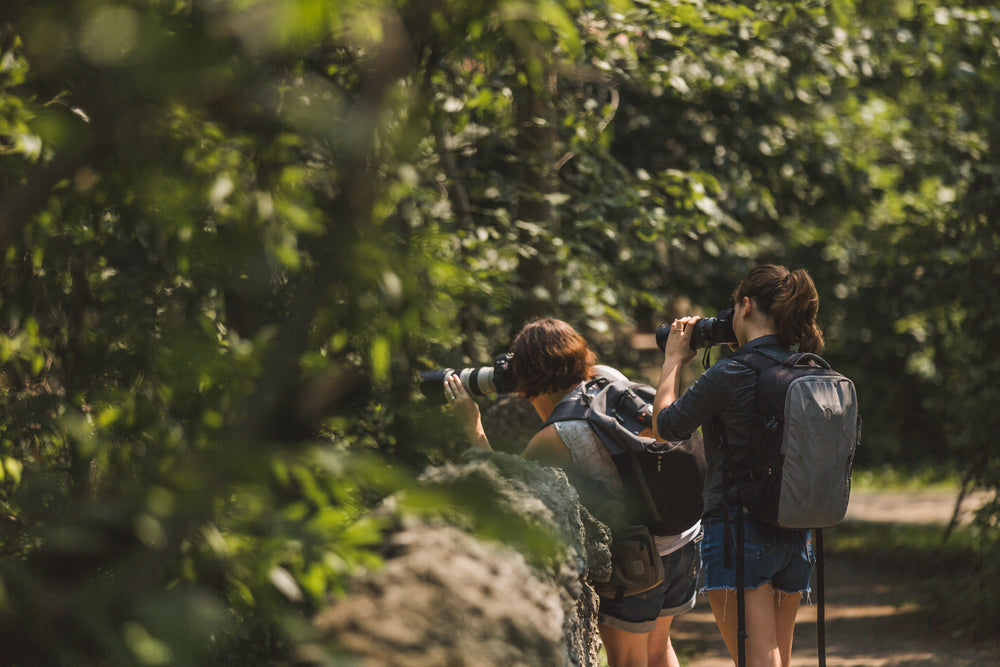 nature photographers shooting