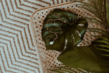 necklace laying on a monstera leaf