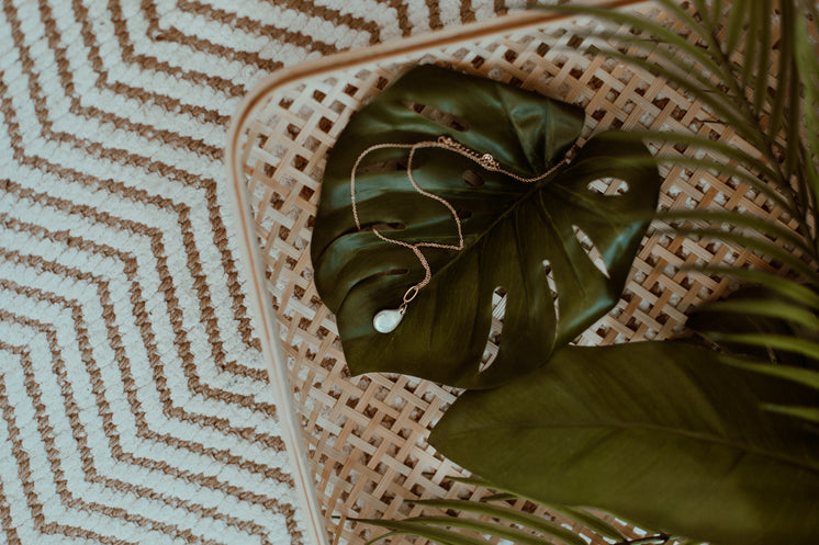 Necklace Laying On A Monstera Leaf