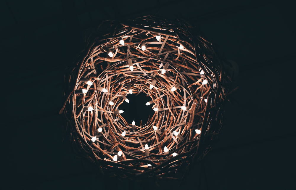 nest with string lights