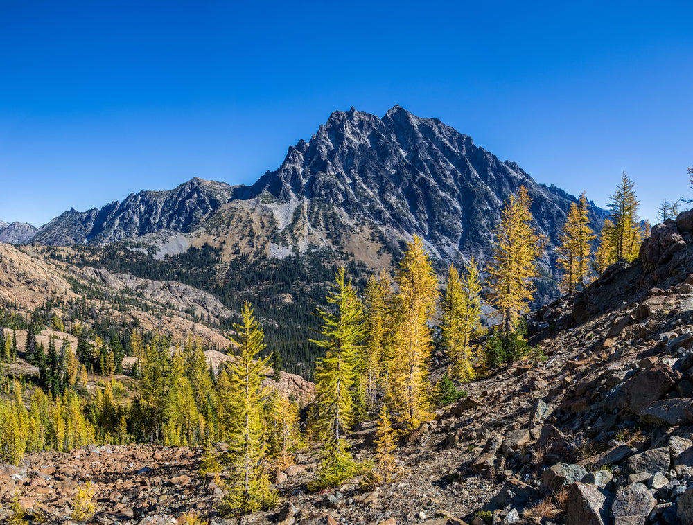 new mountain growth