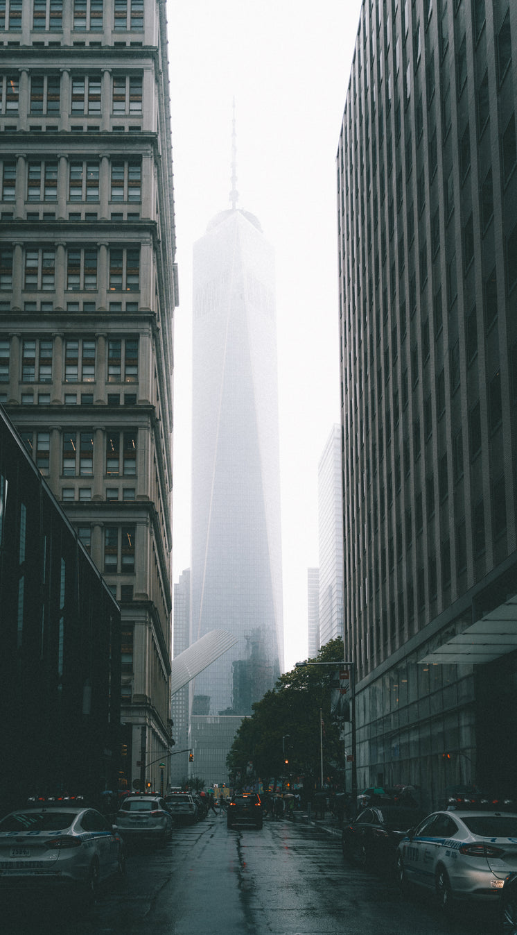 new-york-fog.jpg?width=746&format=pjpg&e