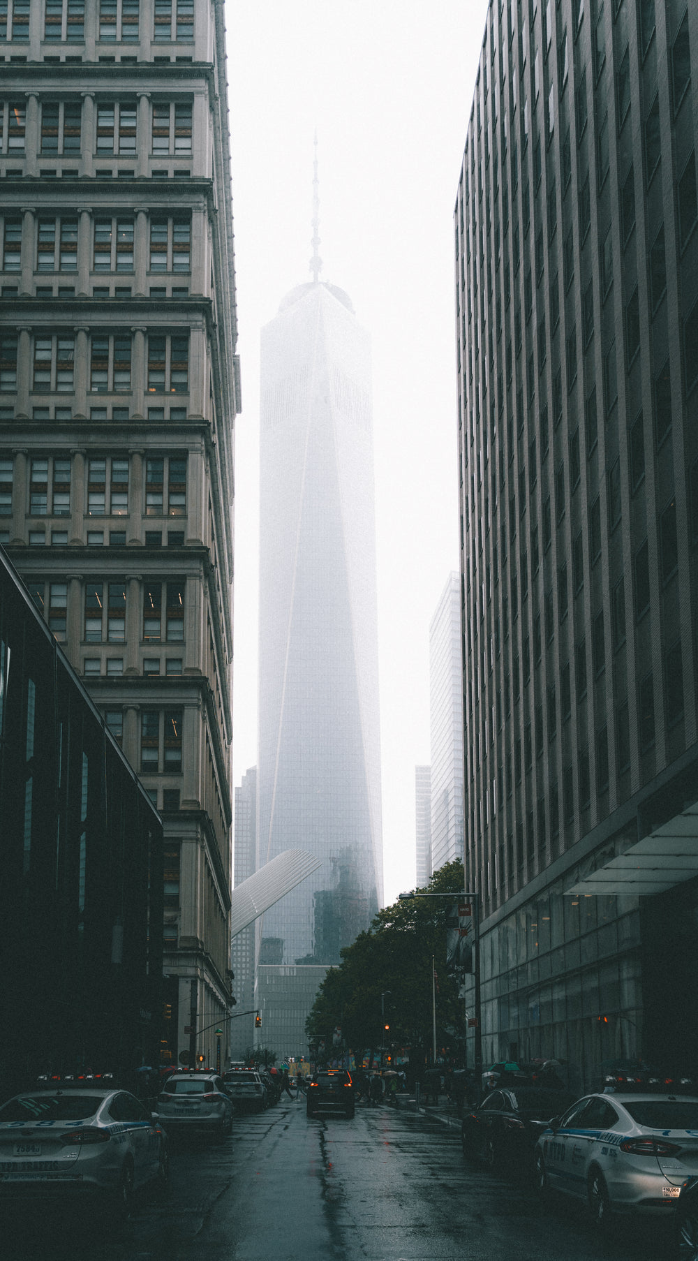 new york fog