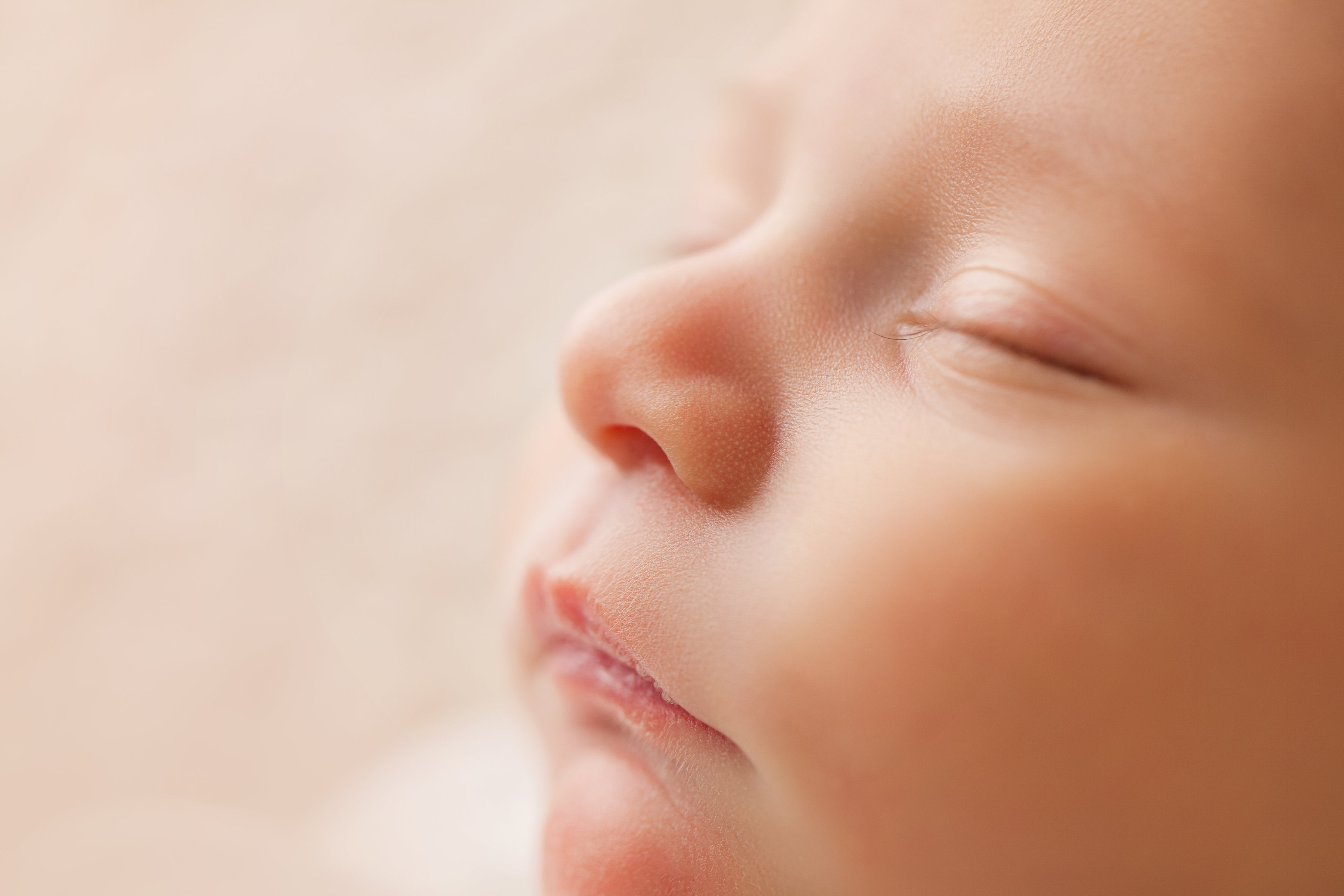 Newborn Photography