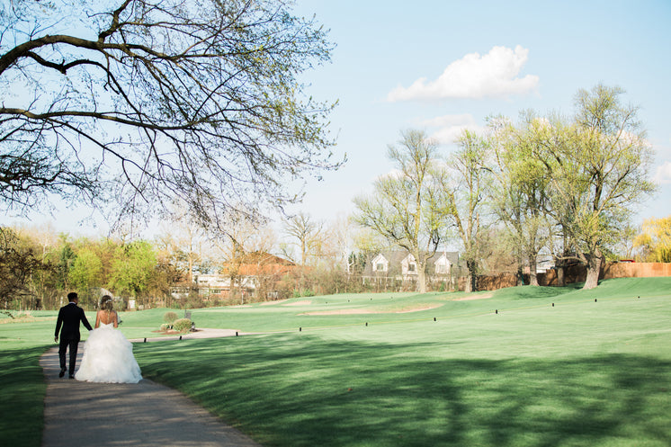 newlyweds-walking-away.jpg?width=746&for