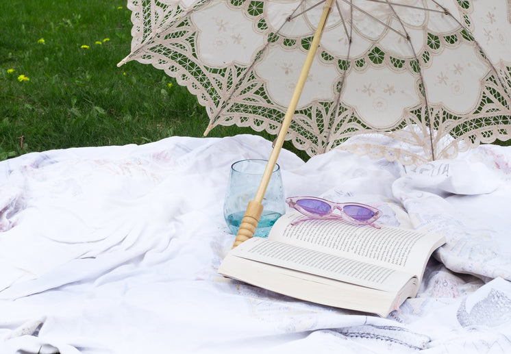 novel-lays-open-under-a-cloth-parasol-on-a-picnic-blanket.jpg?width=746&format=pjpg&exif=0&iptc=0