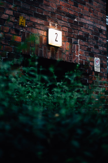 number two lit on a brick wall above green leaves