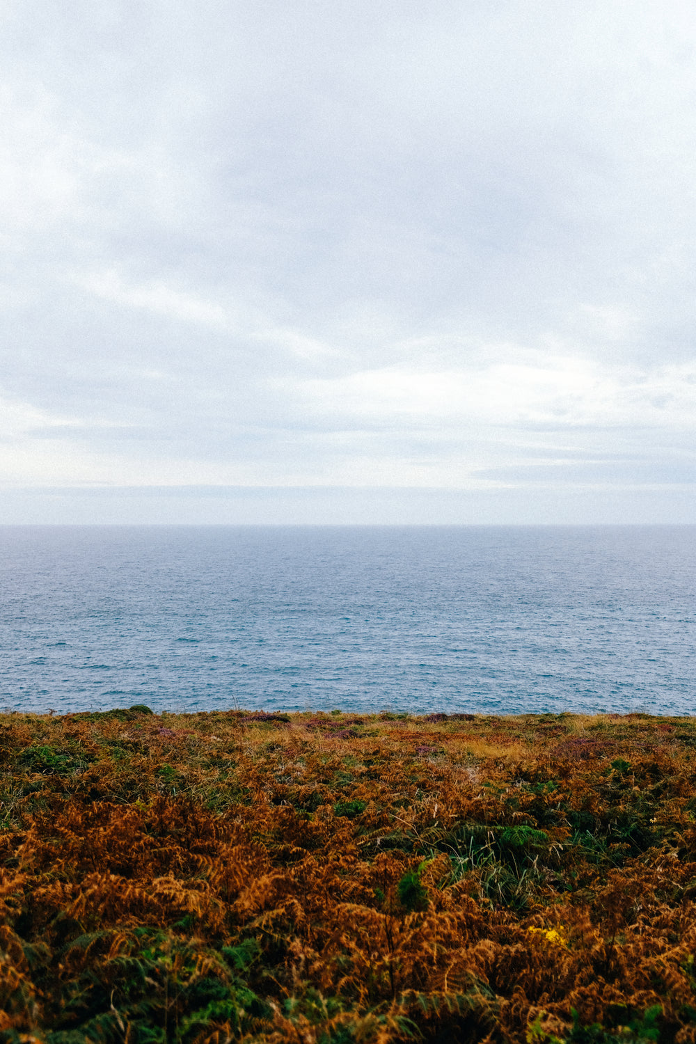 ocean landscape from green and brown shore