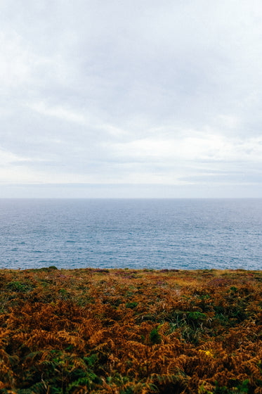 ocean landscape from green and brown shore