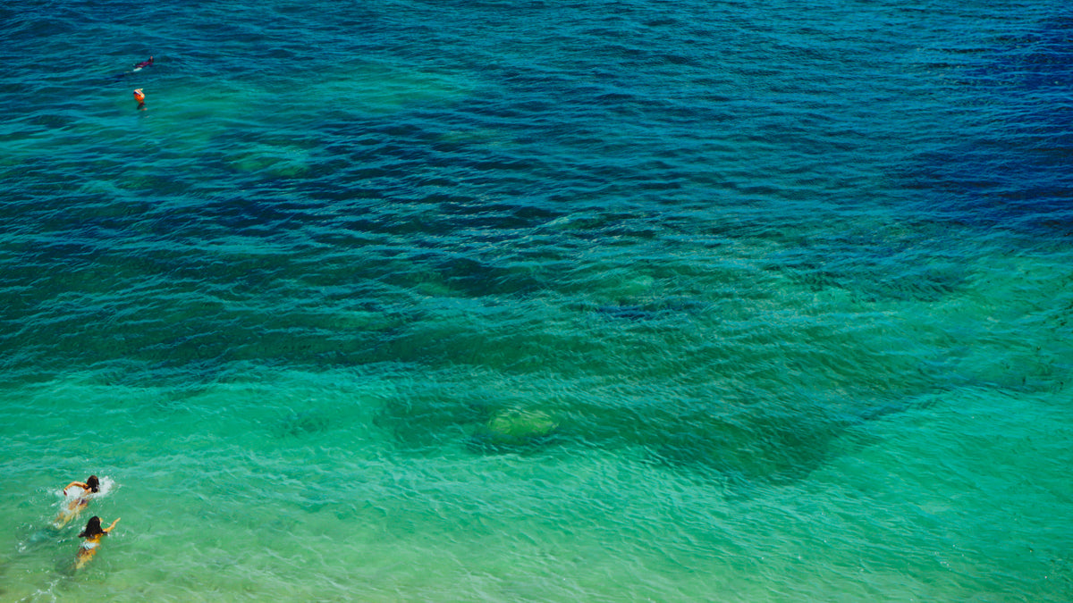 Turquoise Fish Scale - Sports bra - underwater – T SEA I - ART