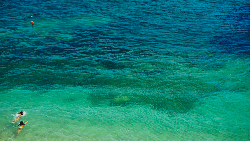 ocean water with swimmers