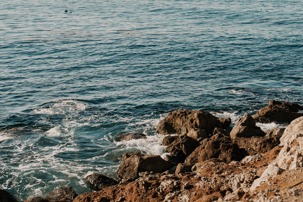 ocean waves swirl off rocky pacific coastline