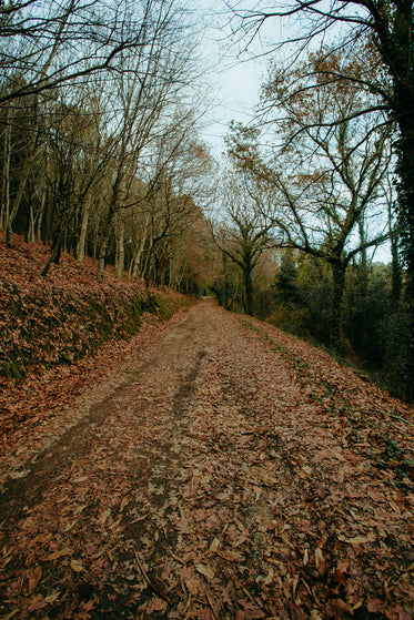 off the beaten path in fall season