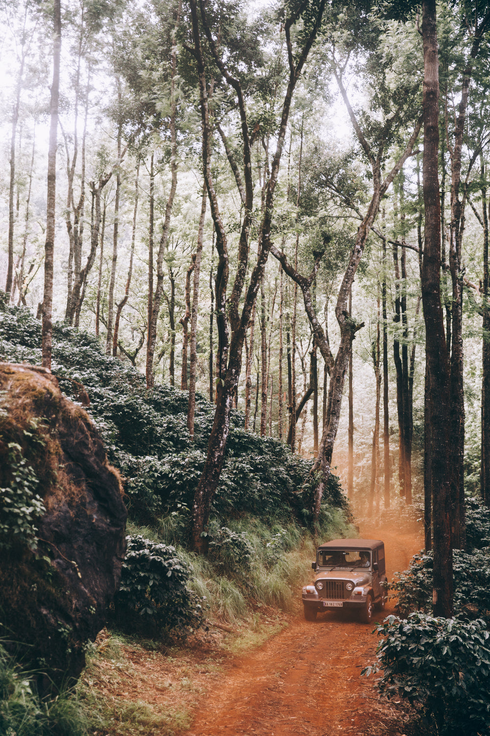 veículo 4x4 desbravando estrada de terra em meio a uma floresta