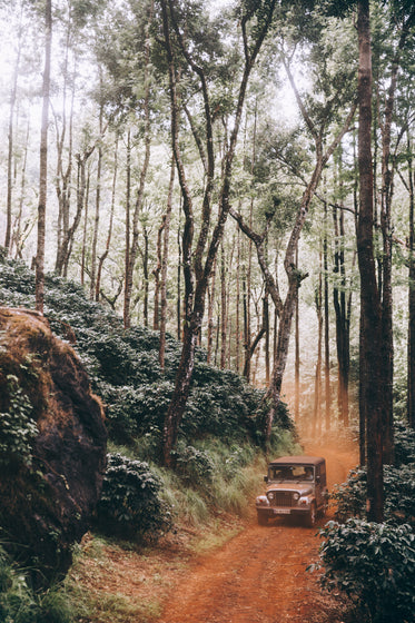 offroad vehicle driving though a forest