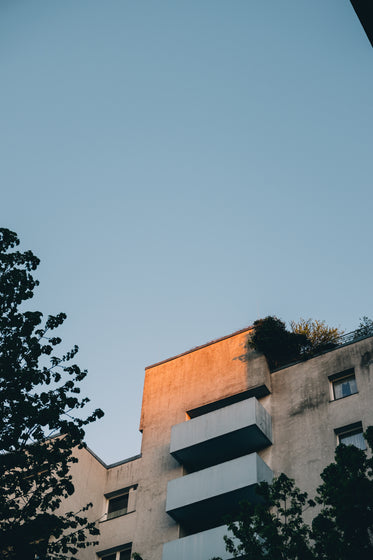 old apartment building covered in foliage