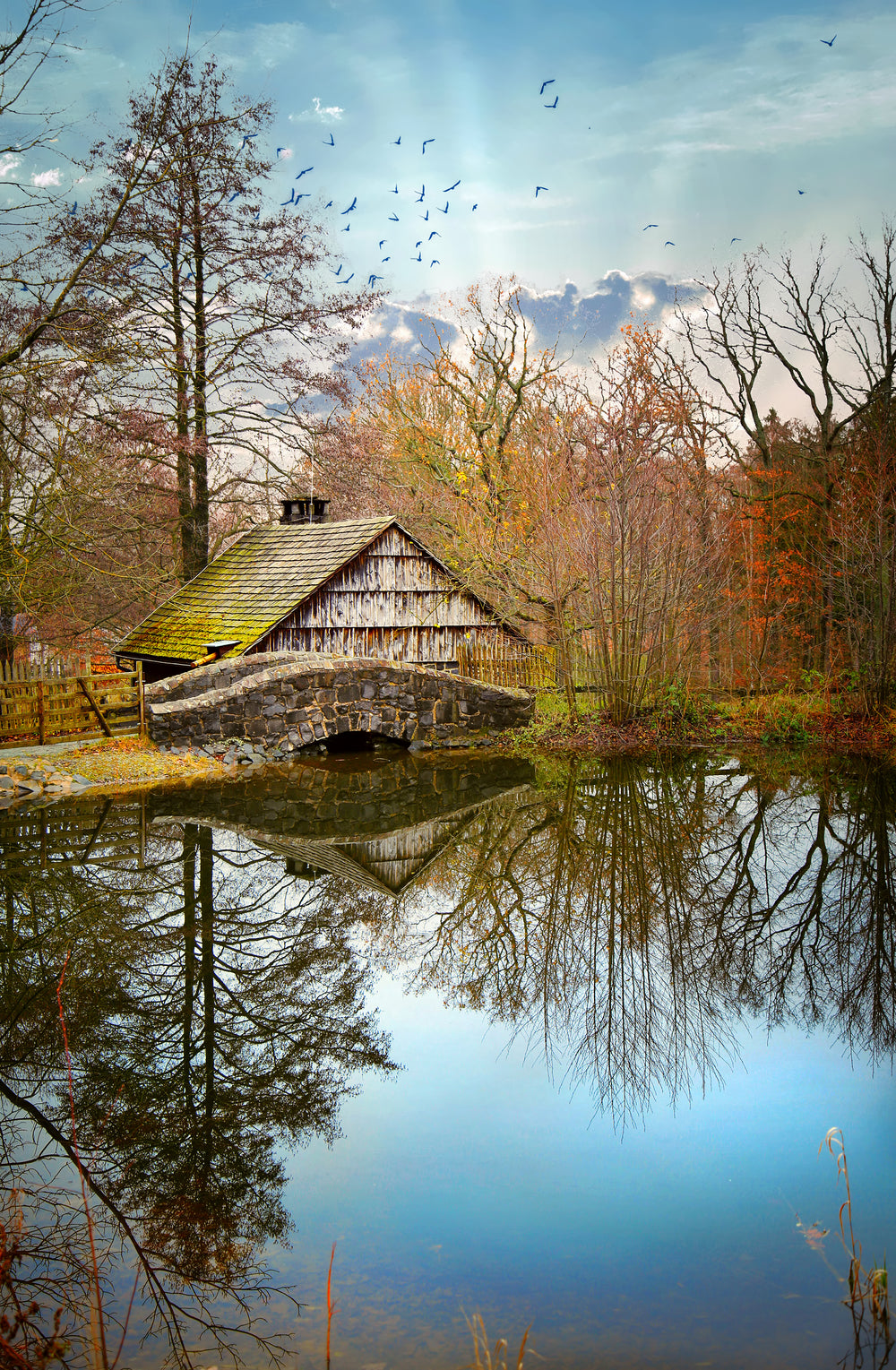 old cabin on the lake