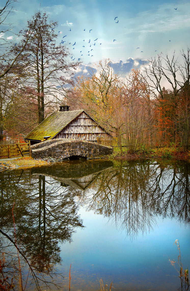 old-cabin-on-the-lake.jpg?width=746&format=pjpg&exif=0&iptc=0