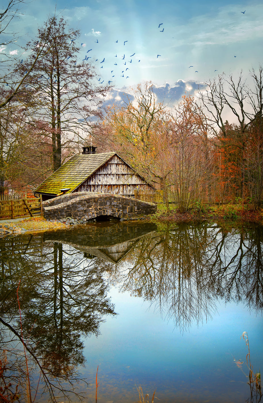 Free Stock Photo of Old Cabin On The Lake — HD Images