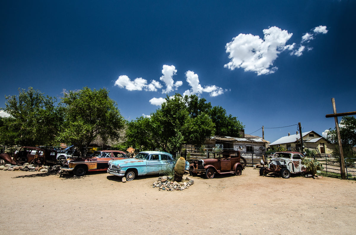 old rusty cars sit under trees in the desert