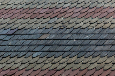 old shingles